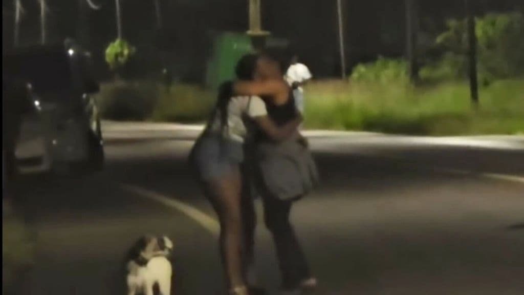 Negen doden bij steekpartij Meerzorg: urgente behoefte aan mentale zorgversterking