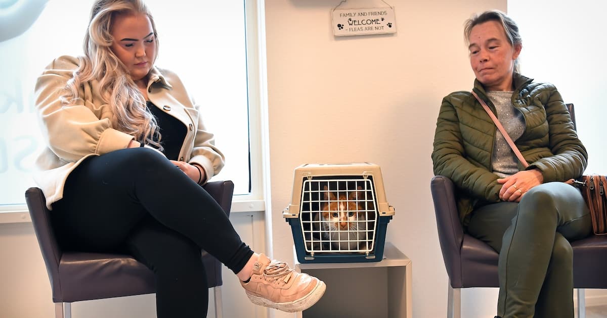 Nederlandse mededingingsautoriteit waarschuwt voor marktconcentratie